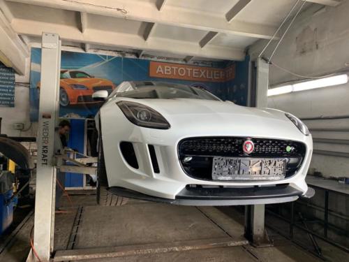 jaguar-4